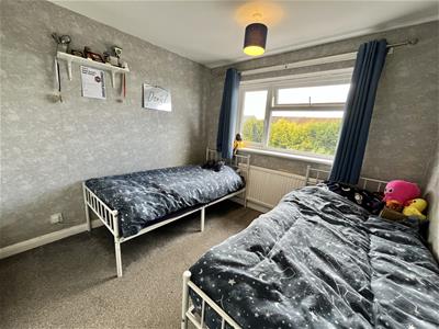 Picture 13